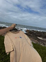 Remera negra de algodón con cuello redondo y mangas cortas. Estampado frontal con tres flores de colores.