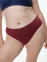 Bombacha tipo bikini de microfibra con tecnología seamless, de diseño liso y ajuste cómodo. Cuenta con fundillo de algodón para mayor frescura.