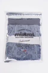 Pack de dos calzoncillos tipo bóxer con cintura elástica con logo. Uno de los modelos es gris claro con estampado de patinetas y el otro es negro con rayas horizontales blancas y grises.