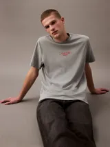 Remera gris de algodón con logo Calvin Klein Jeans estampado en rojo en el pecho.
