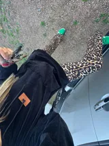 Pantalón largo de tela fina con estampado animal print.