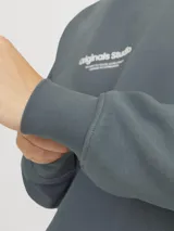 Buzo de manga larga y cuello redondo color gris, de fit relajado y tejido de bucle.