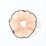 Colero de pelo color beige con borde negro.