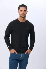 Remera manga larga lisa, color gris claro, con cuello redondo y logo bordado en el pecho.