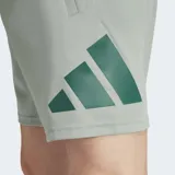 Short deportivo gris con logo Adidas estampado en verde.