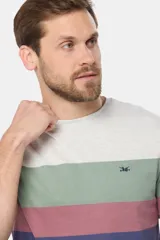 Remera de manga corta con diseño de bloques de colores horizontales en tonos gris, verde, rosado, azul y azul marino. Presenta cuello redondo y un pequeño bordado en el pecho.