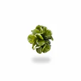 Anillo artesanal con diseño de pétalos superpuestos en resina italiana de color verde, montado sobre una base de acero hipoalergénico ajustable.