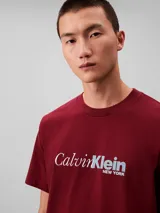 Remera de manga corta y cuello redondo, confeccionada en tejido de punto de algodón. Presenta un estampado gráfico en el pecho con el logo de la marca en estilo cursivo.
