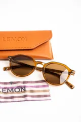 Lentes de sol polarizados con armazón redondo de carey marrón y micas oscuras.