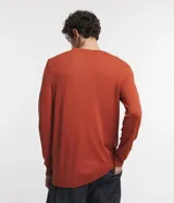 Suéter masculino de cuello redondo y manga larga, confeccionado en tejido de punto liso. Presenta un diseño básico y versátil, ideal para uso diario.