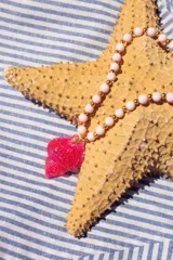 Collar de cuentas color rosa pastel y detalles dorados, con dije de caracola fucsia.