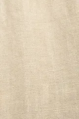 Short de lino color beige, con cintura elástica ajustable con cordón, bolsillos laterales y corte recto.