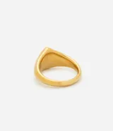 Anillo de metal dorado con diseño de aro medio y aplicación central de madreperla en formato orgánico.