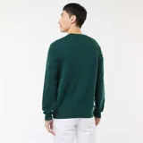 Sweater de punto de cuello redondo, manga larga con puños acanalados y diseño liso en color verde.