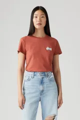 Remera color ladrillo con cuello redondo y estampado pequeño en el pecho.