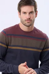 Remera de manga larga con cuello redondo, diseño a rayas horizontales en tonos beige, verde oscuro y gris. Confeccionada en algodón y poliéster.