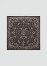 Pañuelo marrón con estampado paisley en color blanco.
