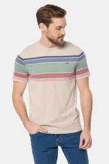 Remera de manga corta con cuello redondo y diseño rayado multicolor en tonos azules, beige, verde y rosado, con pequeño logo bordado en el pecho.
