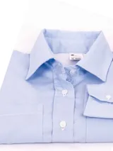 Camisa de manga larga a rayas verticales azules y blancas, confeccionada en algodón.