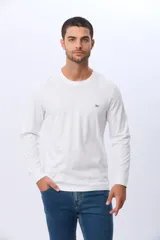 Remera manga larga lisa, color gris claro, con cuello redondo y logo bordado en el pecho.