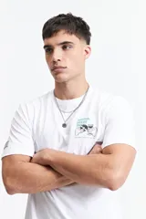 Remera de manga corta color verde azulado, con escote redondo y fit regular. Presenta un estampado gráfico en la espalda con texto "MISTRAL HOUSE PARTY 9/03" y un diseño de manos sosteniendo copas de vino y un disco de vinilo.