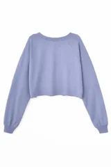 Remera crop top de manga larga color negro, con cuello redondo y diseño de estampado gráfico frontal con texto y logo.