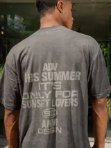 Remera de jersey color gris oscuro con efecto lavado, corte holgado y cuello redondo. Presenta un pequeño logo estampado en el pecho y un estampado grande en la espalda.