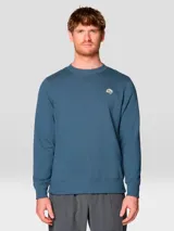 Buzo de cuello redondo en color azul, confeccionado en mezcla de algodón. Presenta un diseño liso con puños y bajo acanalados, y cuenta con un pequeño logotipo bordado en el pecho.