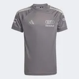 Camiseta deportiva Adidas de la escudería Audi F1 Team, color gris con detalles en plateado. Presenta cuello redondo, mangas cortas con las icónicas tres tiras de la marca en los hombros y logotipos estampados de Audi, Revolut y Pirelli en el frente y mangas.