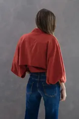Camisa de seda peletizada color ladrillo con diseño de capa superpuesta. Presenta cuello mao, mangas bombé y cierre frontal con botones al tono.