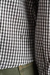 Blusa de manga larga con estampado de cuadros vichy en blanco y negro. Presenta un cuello con volados amplios y un detalle de lazo negro en el centro del escote.