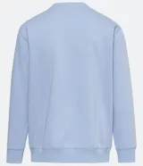 Buzo masculino de fleece color celeste, cuello redondo, manga larga y diseño liso con puños y barra ajustados.