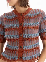 Top tejido de punto corto en tonos marrón óxido y celeste, con mangas cortas, cuello redondo, cierre frontal con botones y detalles de flecos horizontales.