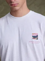 Remera gris de corte clásico con estampa artística en la espalda que representa capas geológicas coloridas y la palabra Biosphere.