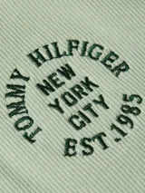 Remera verde claro de algodón con textura acanalada, cuello redondo y manga corta. Estampado circular con el logo de Tommy Hilfiger en el pecho y logo pequeño en el ruedo.