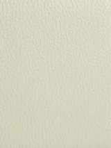 Cartera cruzada Calvin Klein color verde claro, con correa de cadena plateada y placa metálica con el logo de la marca.