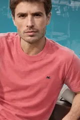 Remera lisa de manga corta y cuello redondo para hombre, con pequeño logo bordado a contratono en el pecho.