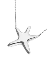 Collar de cadena fina con dije central en forma de estrella de mar, bañado en plata.