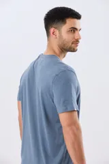 Remera gris de manga corta con cuello redondo y estampa frontal de paisaje costero con tablas de surf y la leyenda "Having Fun".