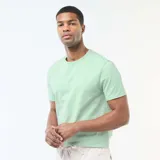 Remera de algodón color verde menta, con cuello redondo y mangas cortas, de corte clásico y liso.