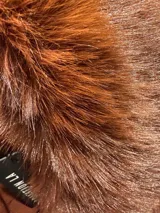 Tapado de cuero sintético color bordó, con cuello y puños de piel sintética desmontables. Presenta cierre frontal con botones y cinturón ajustable con hebilla forrada en el mismo material.