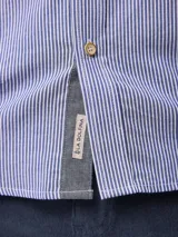 Camisa de manga larga con diseño de rayas finas verticales en azul y blanco, cuello clásico con botones y cierre frontal. Presenta un pequeño bordado en la pechera y puños abotonados.