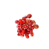 Broche circular con cuentas de diferentes colores y tamaños.