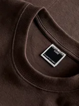 Buzo de manga larga y cuello redondo, con corte extra oversize. Presenta un diseño minimalista en color marrón con el logo 'PROJECT CORE' bordado sutilmente en el centro del pecho.