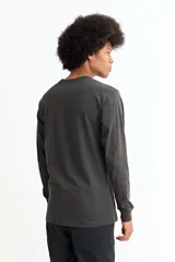 Remera de manga larga con cuello redondo, confeccionada en tejido de algodón y poliéster, con puños elásticos en las mangas.