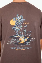 Remera O'Neill modelo Veer de color marrón, con cuello redondo, mangas cortas y detalle de estampa pequeña con texto en el pecho.