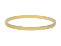 Esclava rígida de acero con baño de oro, con diseño texturizado tipo reptil en la superficie exterior y cierre de bisagra.