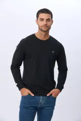 Remera manga larga lisa, color gris claro, con cuello redondo y logo bordado en el pecho.