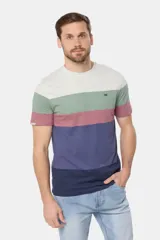 Remera de manga corta con diseño de bloques de colores horizontales en tonos gris, verde, rosado, azul y azul marino. Presenta cuello redondo y un pequeño bordado en el pecho.