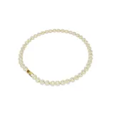 Collar tipo gargantilla Swarovski de baño tono oro, con una fila completa de cristales redondos rodeados por un halo de pavé transparente.